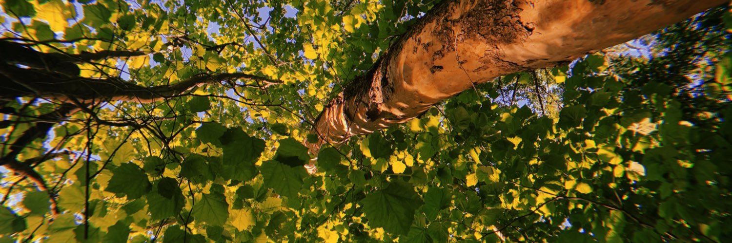 annaeelliott_'s profile banner image