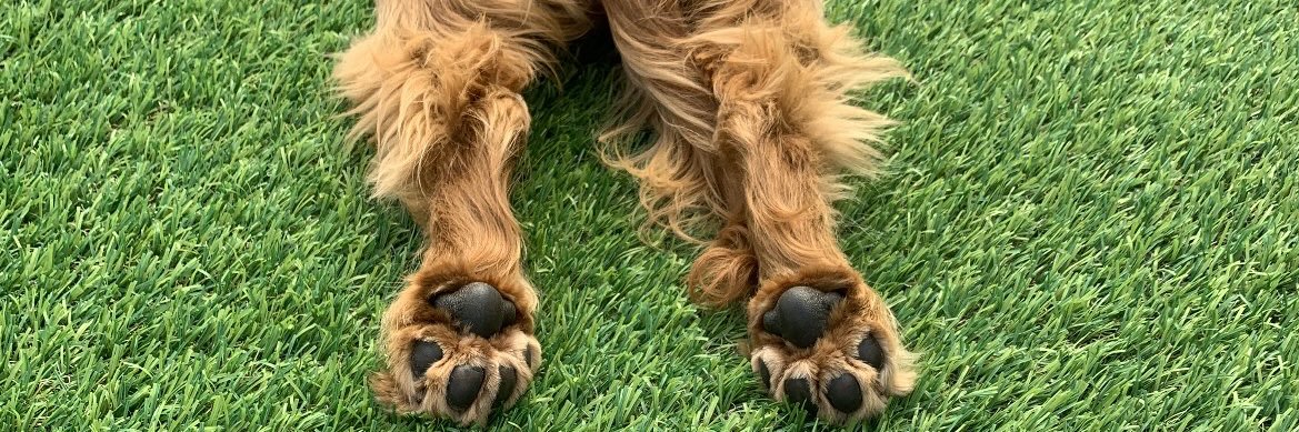 LeahCaplex's profile banner image