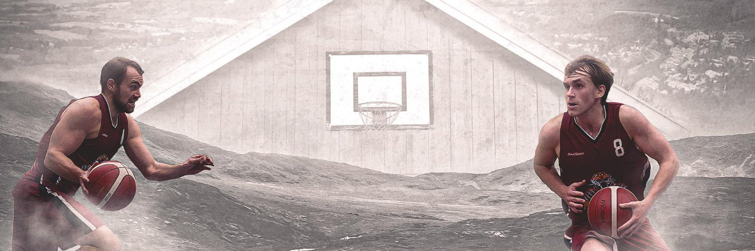 Magnus Midtvedt banner