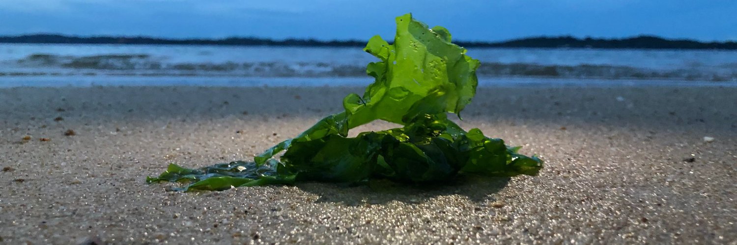 Mathilda D'silva banner