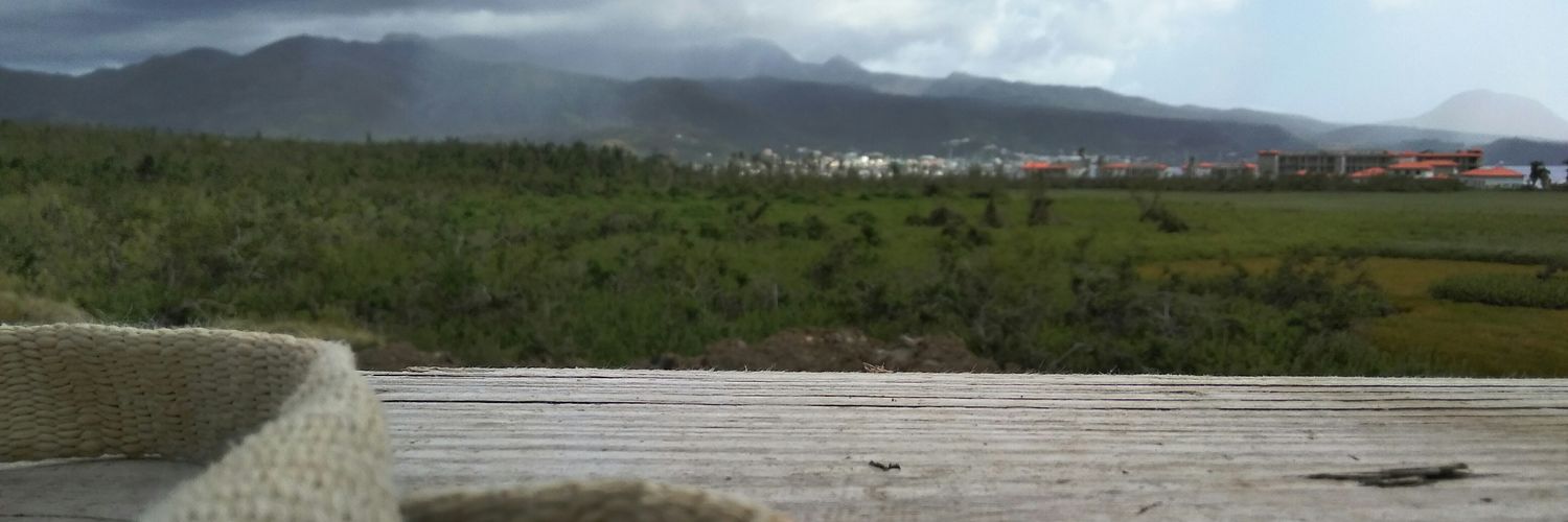 bygyas's profile banner image