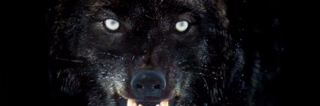 willie_en's profile banner image