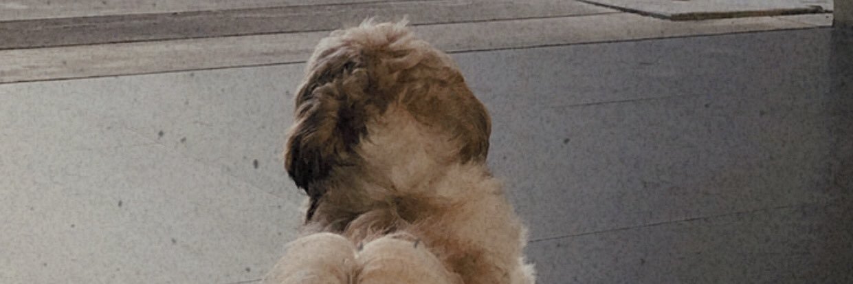 fyssanchez's profile banner image