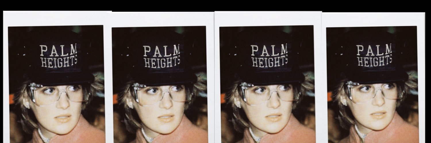 VSOG banner