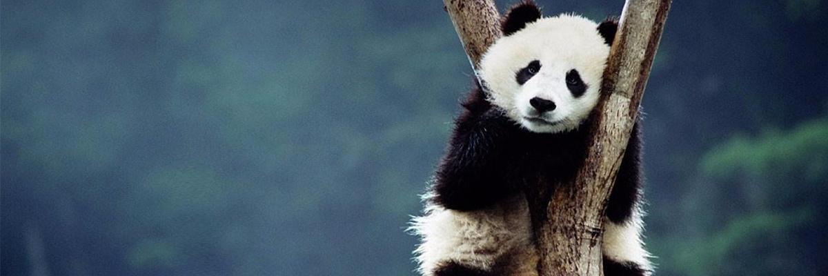 Melooooune's profile banner image