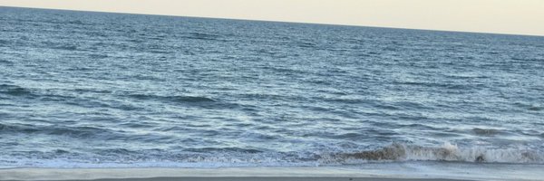 LTRAIN01 Profile Banner