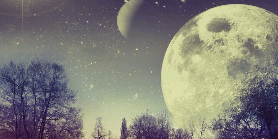 menyet_davis's profile banner image