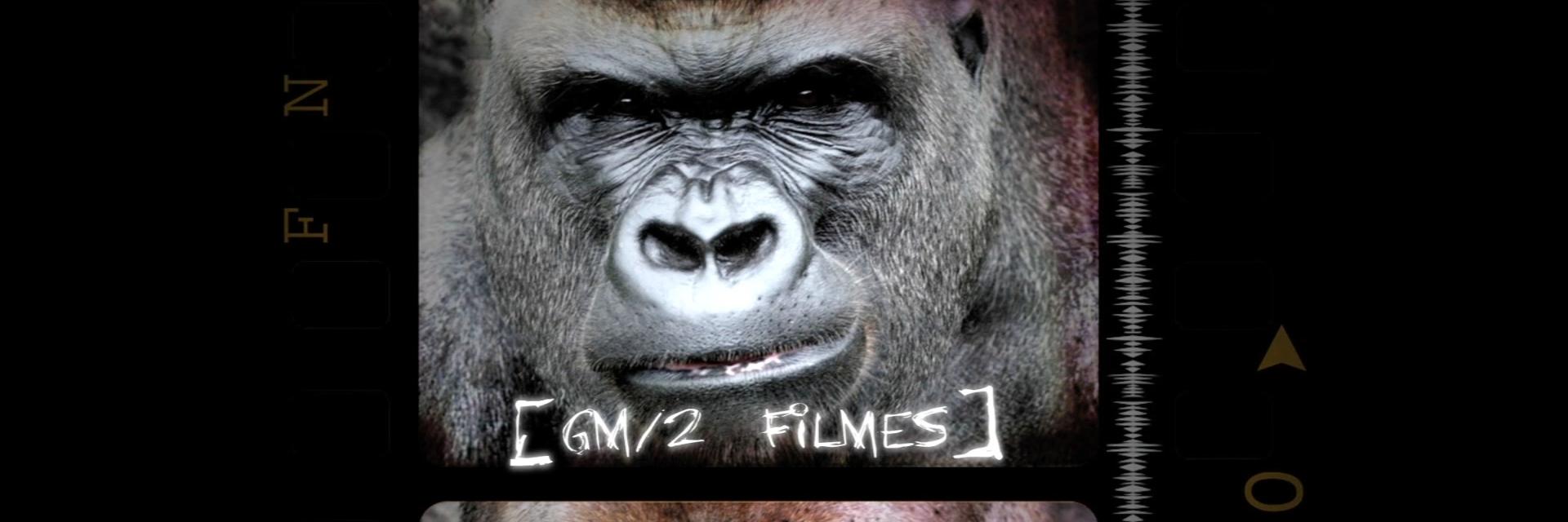 gm2filmes's profile banner image