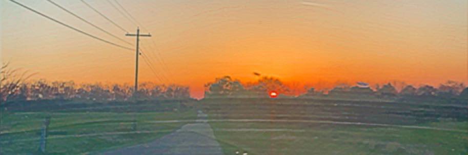 isabelabrewster's profile banner image