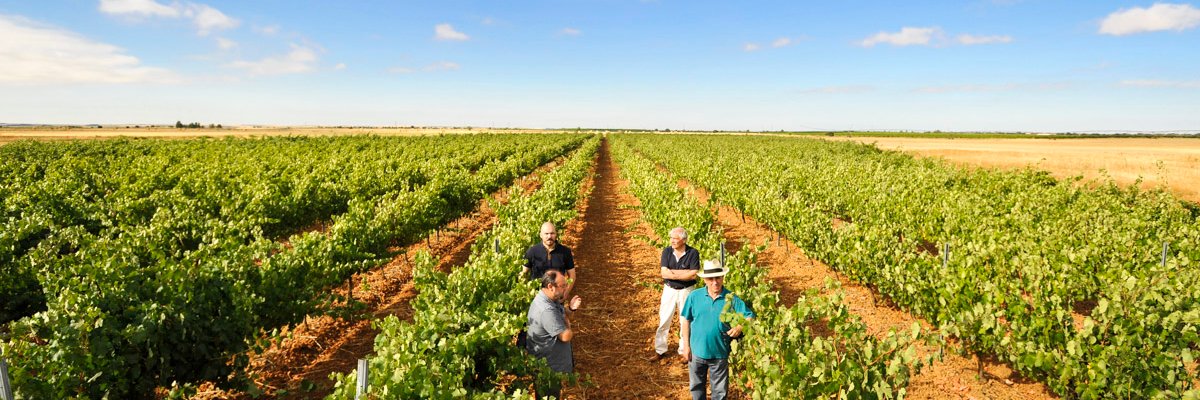 BodegasBelote's profile banner image