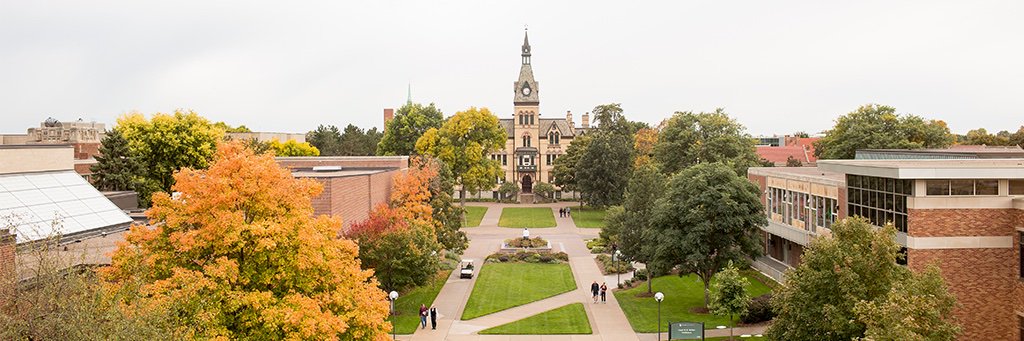 Hamline Athletics banner