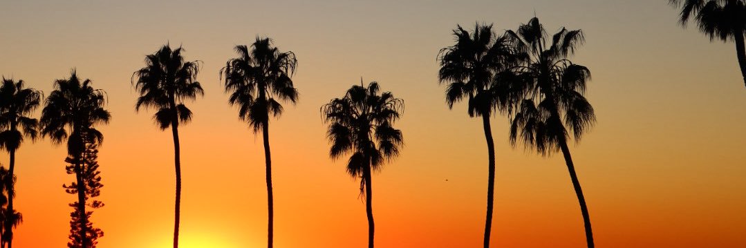 janie_44's profile banner image