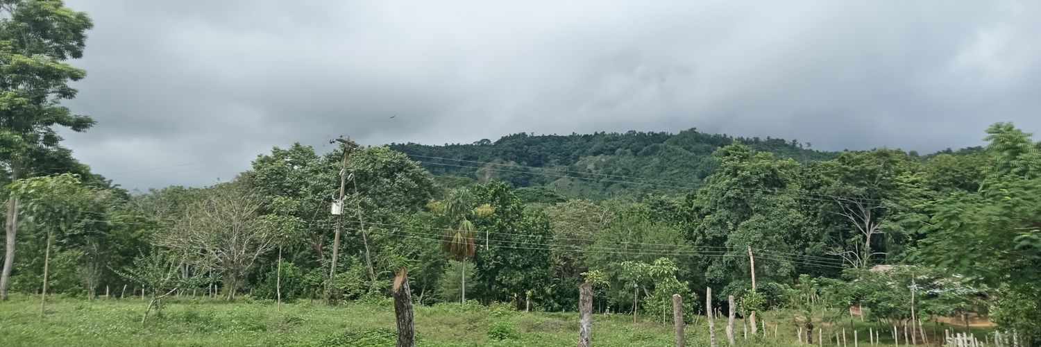 jairoborja24's profile banner image
