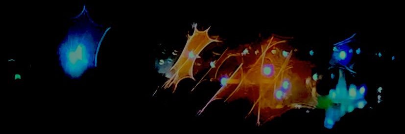 GEzell11's profile banner image
