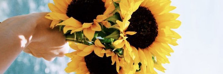 RowaneM96's profile banner image