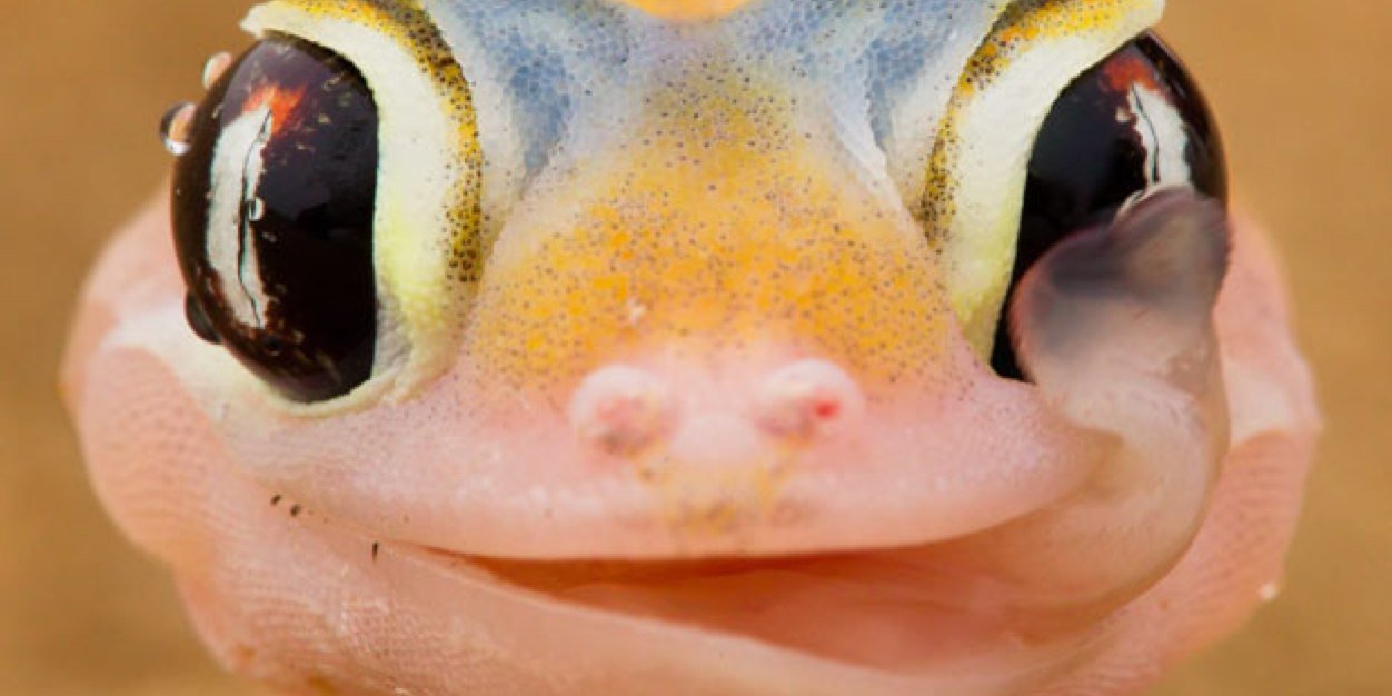 Cedarboy93's profile banner image