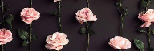 AmyRamli93's profile banner image