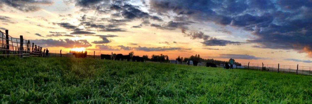 breschoenrock's profile banner image