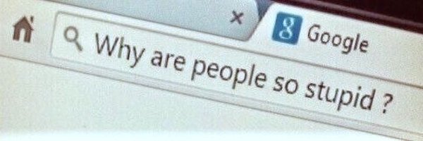 raynbowsly Profile Banner