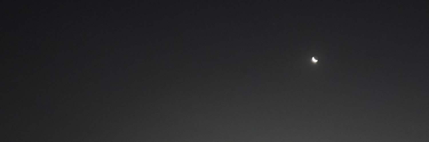 sandrarevollar's profile banner image