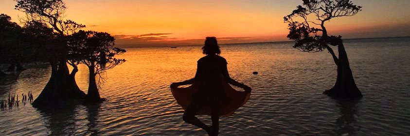 dordorodor's profile banner image