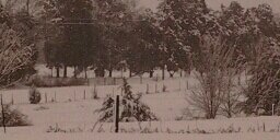 Melissa Raymer-Waller banner