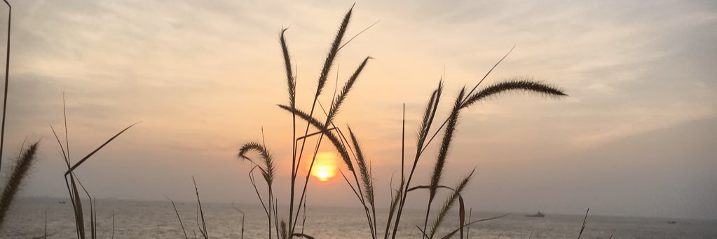 porpiny's profile banner image