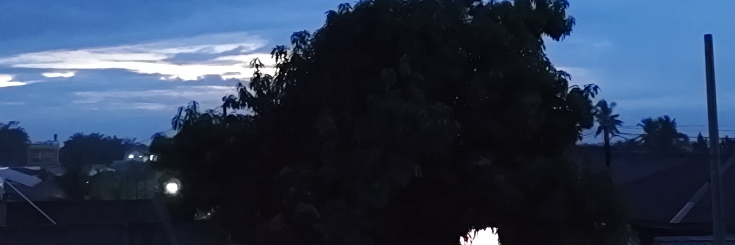 Playheavy17's profile banner image