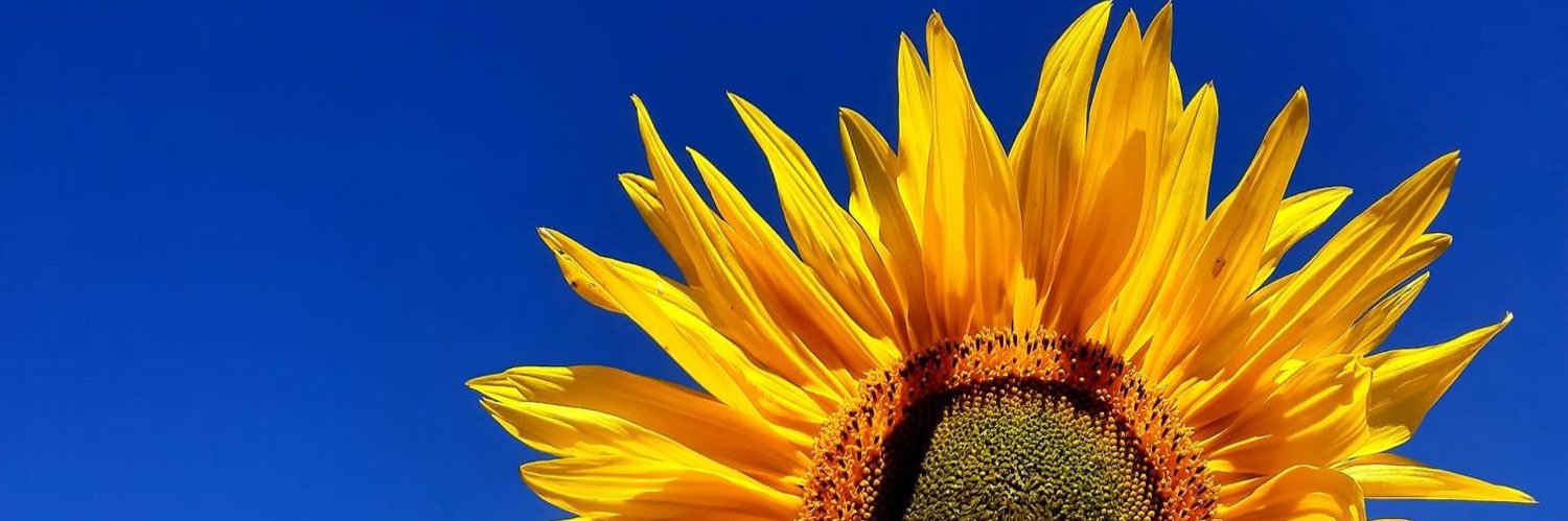 Eras_Mh's profile banner image