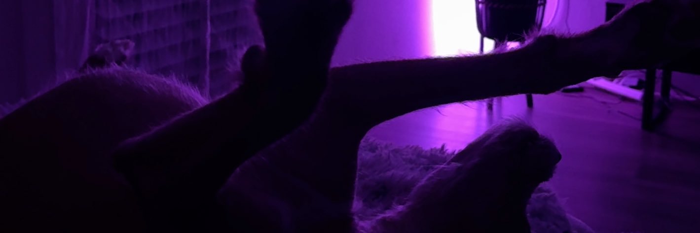 andrestbts's profile banner image
