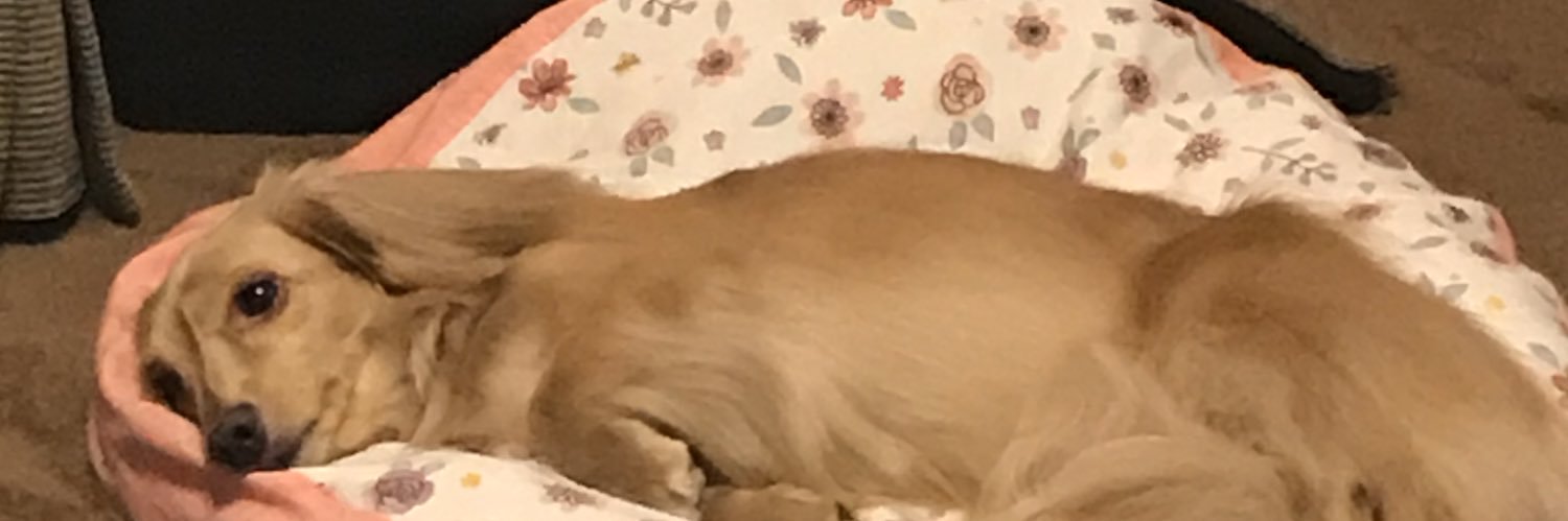 1024jd's profile banner image