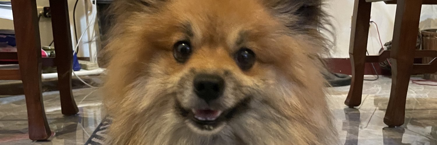 KEZidillas's profile banner image