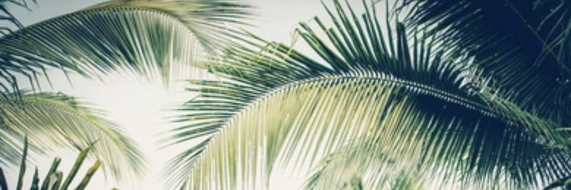 Jor_Fine14's profile banner image