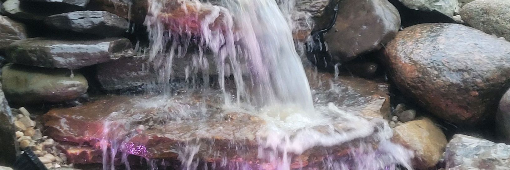 PondWiser's profile banner image