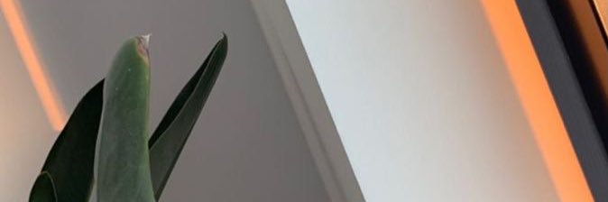 hollyattew's profile banner image