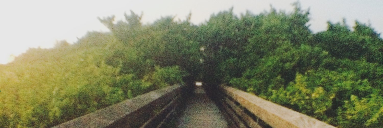ReaganLynn's profile banner image