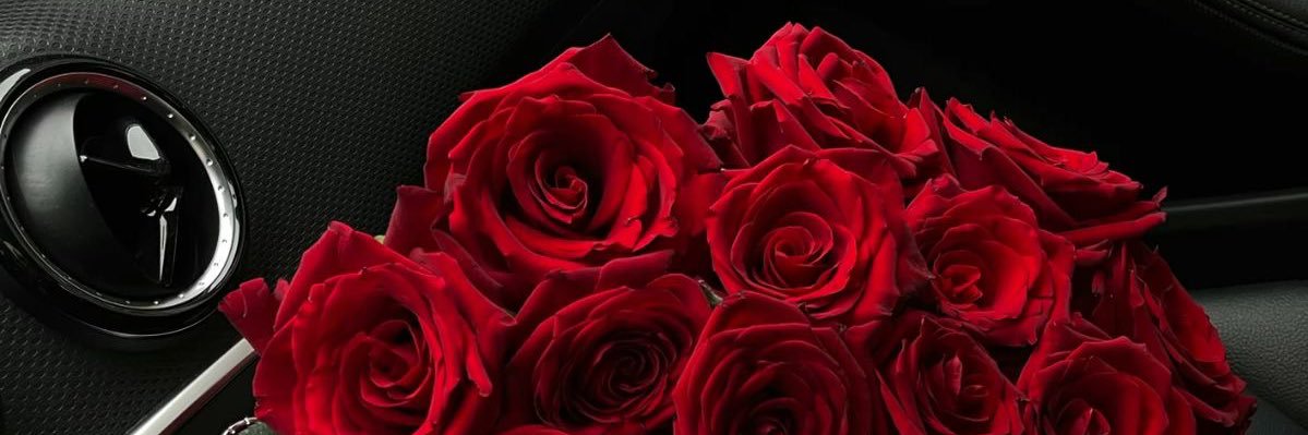 SaSar00's profile banner image
