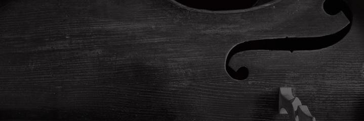 panxoxx's profile banner image