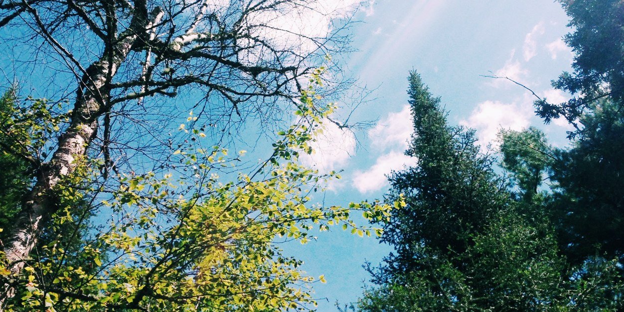 silly16milly's profile banner image