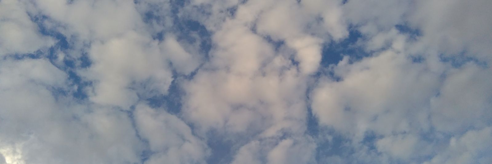 Sindi_Tok's profile banner image