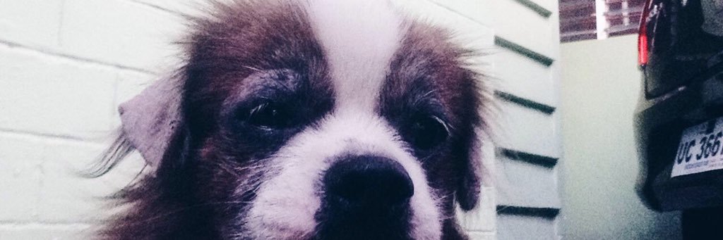 JemyDamian's profile banner image