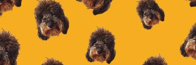 Amanda Marie Atkinson banner