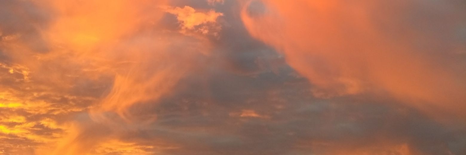 FranCanee's profile banner image
