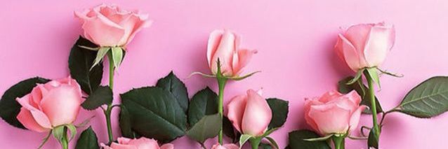 raihany___'s profile banner image