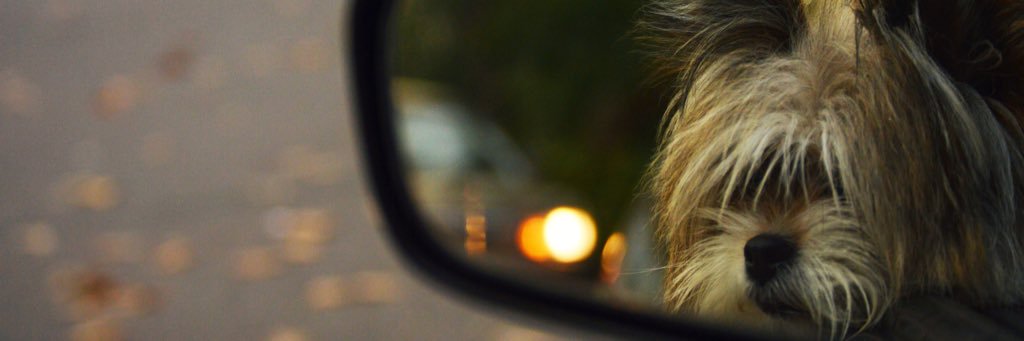 MackenzieKmecik's profile banner image