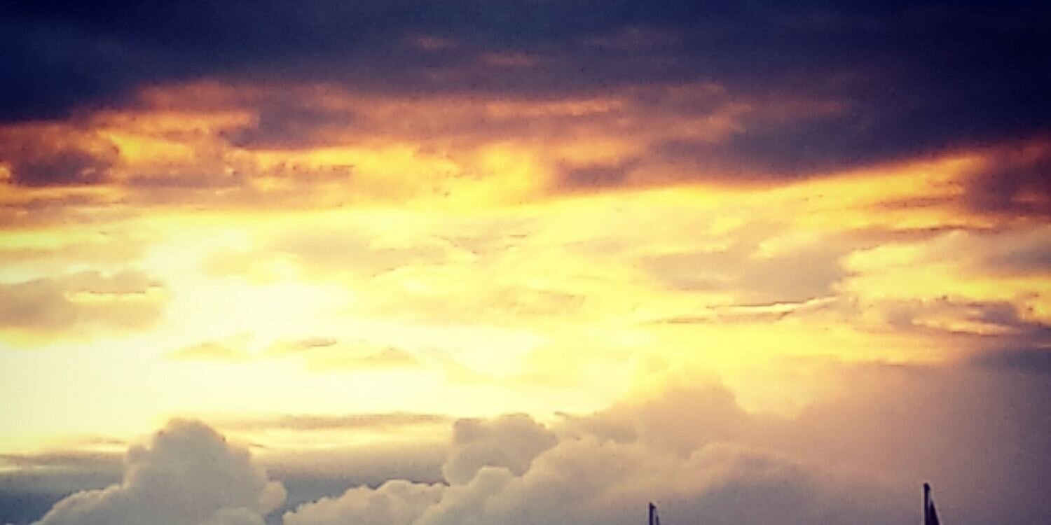 James Duignan banner