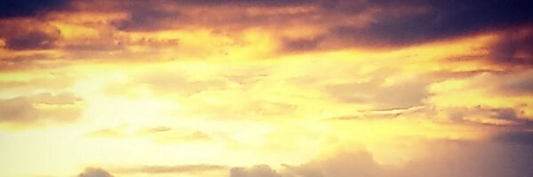 jameseroo Profile Banner