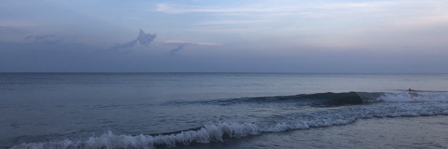 BarbaraCarron1's profile banner image