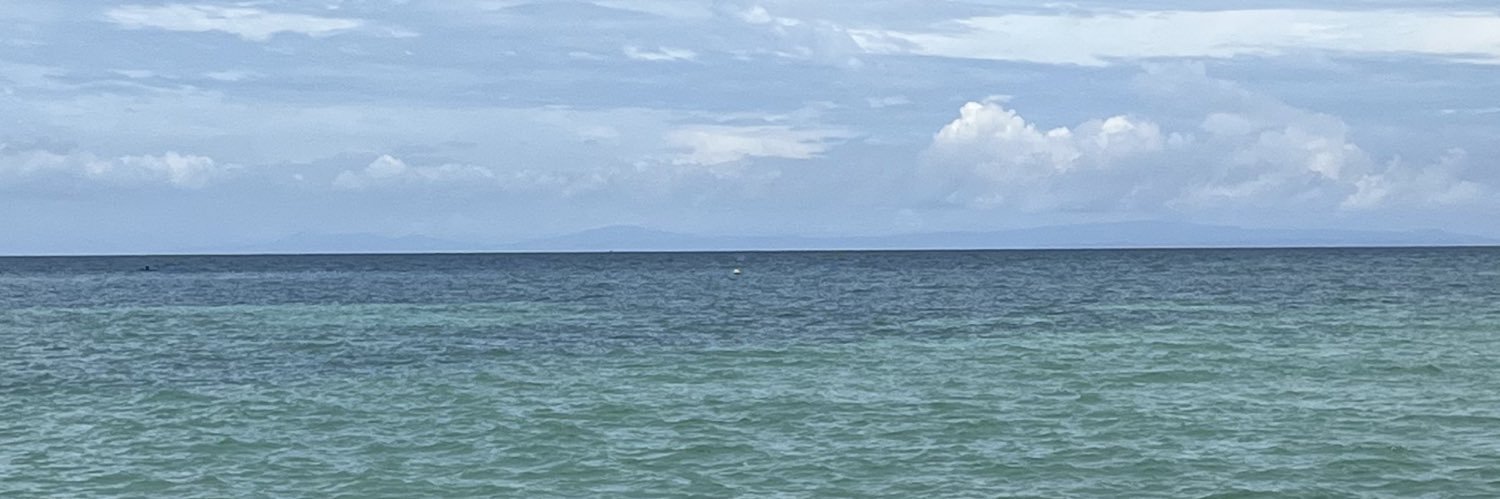 Roniiilooo's profile banner image