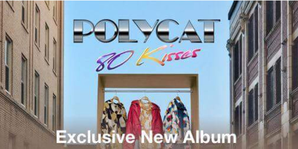 polycatfc's profile banner image